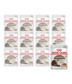 ROYAL CANIN® Nassfutter Für Katzen Ageing 12+, 12 X 85 G
