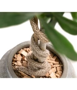 Olive, Stamm, In Keramik, Ca. Ø17/H90 Cm -Gardena Store 6267579 WE DE 002 OleaEurop Stamm90cmGrau