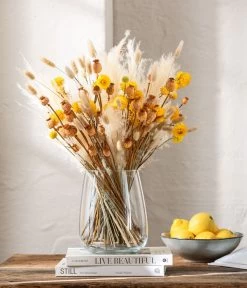 Trockenblumenbund Hasenschwanzgras, Gebleicht -Gardena Store 6272595 WE MO 001 Trockenstrauss