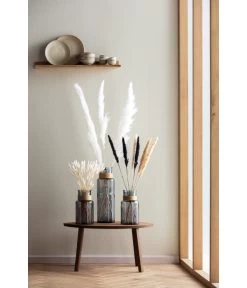 Trockenblumenbund Hasenschwanzgras, Gebleicht -Gardena Store 6284087 PR MO 001 Trockenblumen