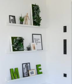 StyleGREEN Bild Im Dschungeldesign, Rechteckig, Ca. B57/H27/T16 Cm -Gardena Store 6429930 WE MO 002 Pflanzenbild57x27cmStylegreen