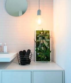 StyleGREEN Bild Im Dschungeldesign, Rechteckig, Ca. B57/H27/T16 Cm -Gardena Store 6429930 WE MO 003 Pflanzenbild57x27cmStylegreen