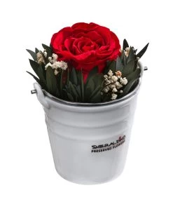 Dehner Arrangement Mit Longlife-Rose Ida, Rot, Ca. Ø7,5/H15 Cm