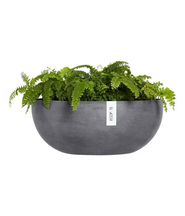 Ecopots Kunststoff-Schale Sofia Wall Mit Wassersystem, Oval, Grau, Ca. B43/H17,5/T25 Cm 2 Ecopots Kunststoff-Schale Sofia Wall Mit Wassersystem, Oval, Grau, Ca. B43/H17,5/T25 Cm – Bild 2