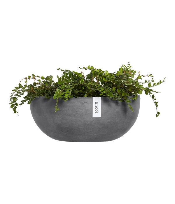 Ecopots Kunststoff-Schale Sofia Wall Mit Wassersystem, Oval, Grau, Ca. B43/H17,5/T25 Cm 3 Ecopots Kunststoff-Schale Sofia Wall Mit Wassersystem, Oval, Grau, Ca. B43/H17,5/T25 Cm – Bild 3