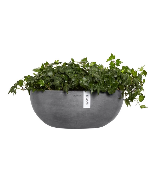 Ecopots Kunststoff-Schale Sofia Wall Mit Wassersystem, Oval, Grau, Ca. B43/H17,5/T25 Cm 4 Ecopots Kunststoff-Schale Sofia Wall Mit Wassersystem, Oval, Grau, Ca. B43/H17,5/T25 Cm – Bild 4