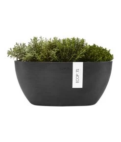 Ecopots Kunststoff-Schale Sofia Mit Wassersystem, Oval, Dunkelgrau, Ca. B30/H13,5/T13 Cm -Gardena Store 6614929 WE FS 003 EcopotsKunststoffSchaleSofiamitWassersystemovaldunkelgrau