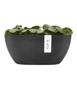 Ecopots Kunststoff-Schale Sofia Mit Wassersystem, Oval, Dunkelgrau, Ca. B30/H13,5/T13 Cm -Gardena Store 6614929 WE FS 004 EcopotsKunststoffSchaleSofiamitWassersystemovaldunkelgrau