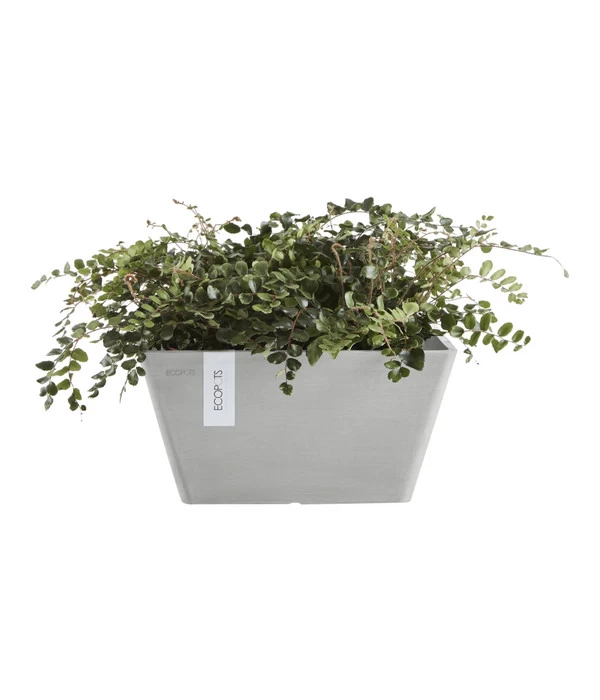 Ecopots Kunststoff-Topf Berlin, Quadratisch 2 Ecopots Kunststoff-Topf Berlin, Quadratisch – Bild 2