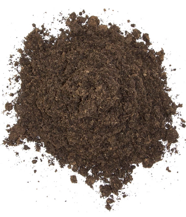 Floragard Schildkrötensubstrat 3 Floragard Schildkrötensubstrat – Bild 3