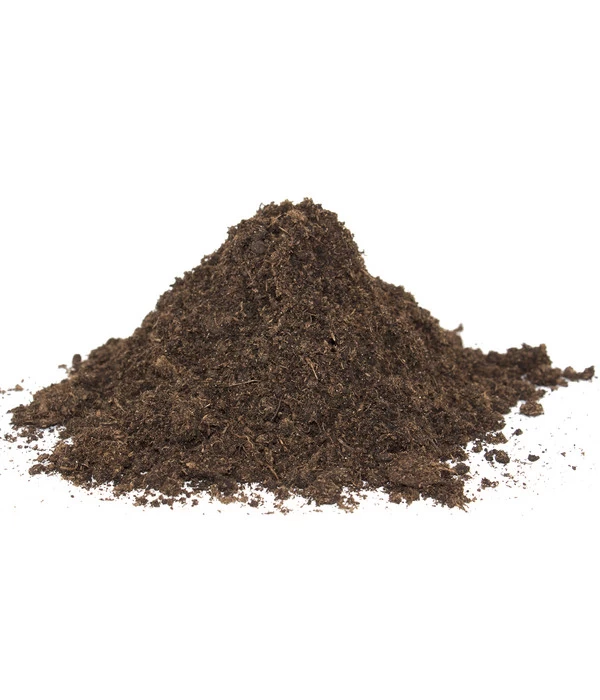 Floragard Schildkrötensubstrat 4 Floragard Schildkrötensubstrat – Bild 4