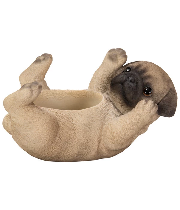 Dehner Polyresin-Mops Topf, Ca. H10 Cm 1 Dehner Polyresin-Mops Topf, Ca. H10 Cm