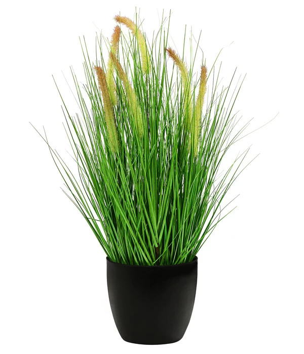 Dehner Kunstpflanze Borstenhirse, 68 Cm 1 Dehner Kunstpflanze Borstenhirse, 68 Cm