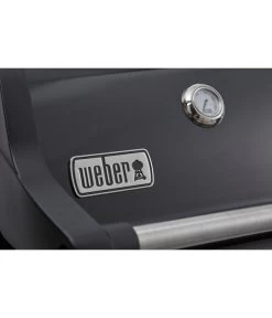 Weber Gasgrill Spirit E-215 GBS 15 Weber Gasgrill Spirit E-215 GBS -Gardena Store 6778146 WE DE 001 SpiritE215GBS