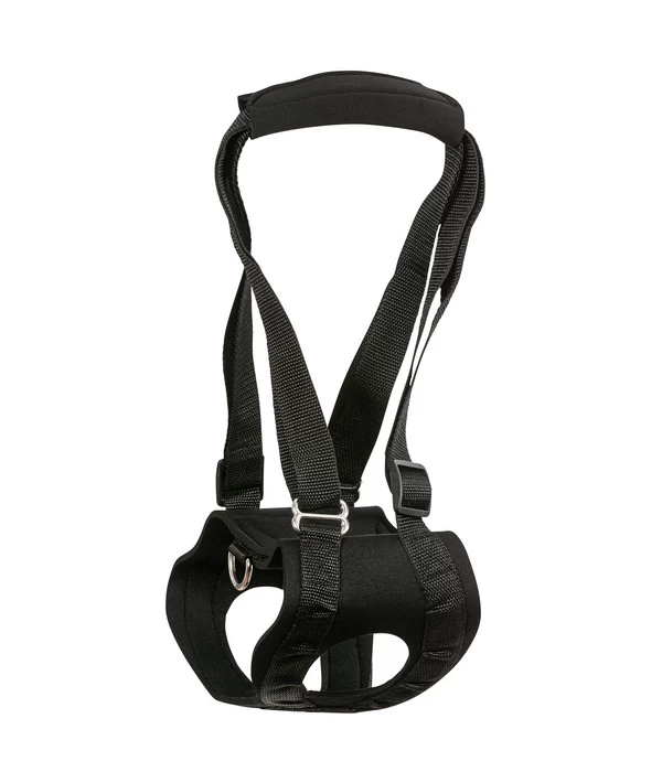 Dehner Lieblinge Gehhilfe Für Hunde 2 Dehner Lieblinge Gehhilfe Für Hunde – Bild 2