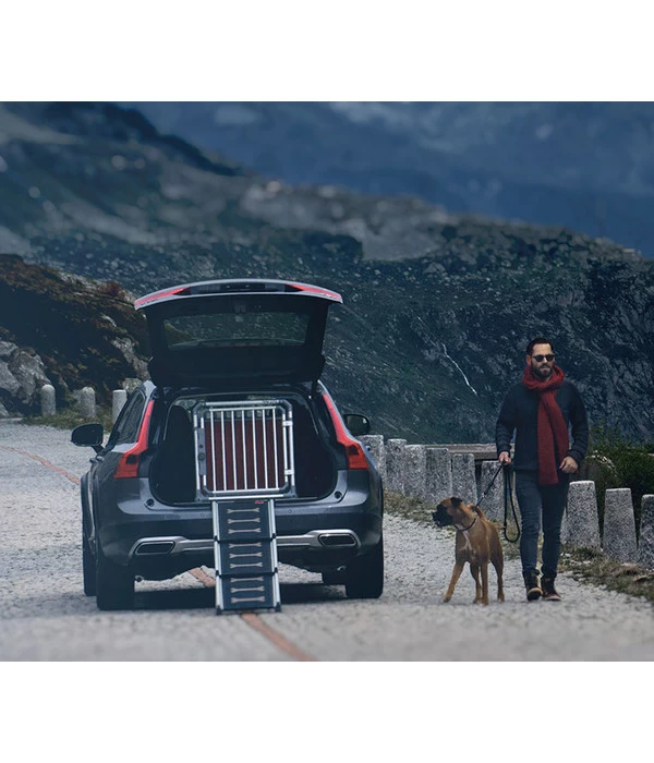 4pets® EasySteps Hunderampe 2 4pets® EasySteps Hunderampe – Bild 2