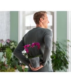 Dehner Keramik-Übertopf Nature Earth, Konisch, Grau, Ca. Ø14 Cm -Gardena Store 6895577 WE MO 002 OrchideentopfNature