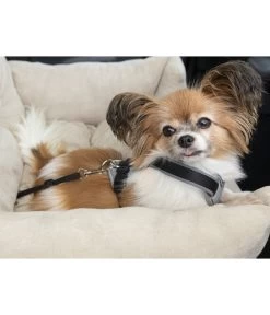 Dehner Lieblinge Reisebett Dream Team, Beige, Ca. B54/H34/T50 Cm -Gardena Store 6909790 WE MO 003 DehnerLieblingeTransportsofa