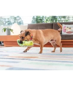 Red Dingo Hundespielzeug DURABLES Toys Krokodil -Gardena Store 6912364 WE MO 002 RedDingoSpzKrokodil