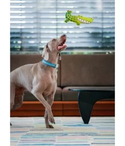 Red Dingo Hundespielzeug DURABLES Toys Krokodil -Gardena Store 6912364 WE MO 003 RedDingoSpzKrokodil