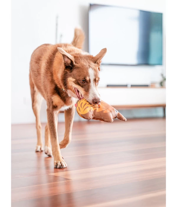 Red Dingo Hundespielzeug DURABLES Toys Nasenbär 2 Red Dingo Hundespielzeug DURABLES Toys Nasenbär – Bild 2