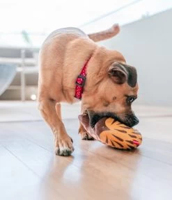 Red Dingo Hundespielzeug DURABLES Toys Nasenbär 10 Red Dingo Hundespielzeug DURABLES Toys Nasenbär -Gardena Store 6912471 WE MO 004 RedDingoSpzNasenbaer