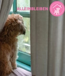 ADAPTIL® Junior Halsband Für Welpen -Gardena Store 6915110 WE MO 002 AdaptilHZbhHalsbandJunior