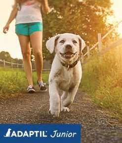 ADAPTIL® Junior Halsband Für Welpen -Gardena Store 6915110 WE MO 005 AdaptilHZbhHalsbandJunior