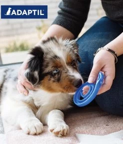 ADAPTIL® Junior Halsband Für Welpen -Gardena Store 6915110 WE MO 006 AdaptilHZbhHalsbandJunior