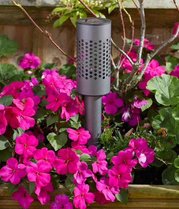 Smart Garden Solarleuchte Solstar, Ca. Ø6,2/H42 Cm 3 Smart Garden Solarleuchte Solstar, Ca. Ø6,2/H42 Cm – Bild 3