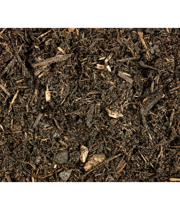 COMPO BIO Mediterrane Pflanzenerde 3 COMPO BIO Mediterrane Pflanzenerde – Bild 3