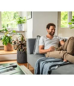 LECHUZA® TRENDCOVER Cork, All-in-One Set 6 LECHUZA® TRENDCOVER Cork, All-in-One Set -Gardena Store 6946891 6946933 6947097 6947139 WE MO 001 Trendcover