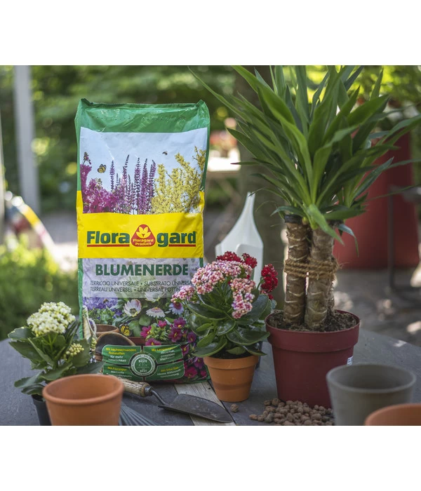 Floragard Blumenerde, 4 X 20 L 2 Floragard Blumenerde, 4 X 20 L – Bild 2