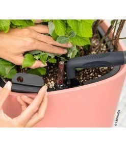 LECHUZA® Kunststoff-Topf Pila Color Planter, Rund, Ca. Ø35/H33 Cm 7 LECHUZA® Kunststoff-Topf Pila Color Planter, Rund, Ca. Ø35/H33 Cm -Gardena Store 6963664 WE MO 001 LechuzaCOLORPLANTER