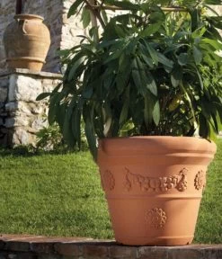 Farmet New Kunststoff-Topf Festonato, Rund, Terrakotta, Inkl. Untersetzer -Gardena Store 6965198 WE MO 001 FarmetNewKunststoffBlumentopfFestonatorundterrakotta