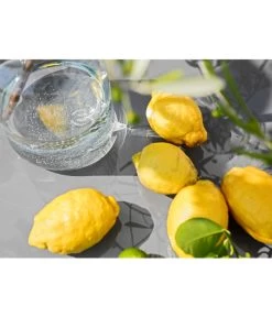 XXL Zitrone, Ca. 155-165 Cm 9 XXL Zitrone, Ca. 155-165 Cm -Gardena Store 7120405 PR MO 002 Zitrone