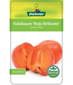Dehner Kaki 'Rojo Brillante' - Kaki-Pflaume 'Rojo Brillante' 12 Dehner Kaki 'Rojo Brillante' - Kaki-Pflaume 'Rojo Brillante' -Gardena Store 7167414 KakiRojoBrillante Etikett 01