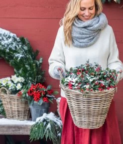 Rote Teppichbeere -Gardena Store 7192941 WE MO 001 RoteTeppichbeere