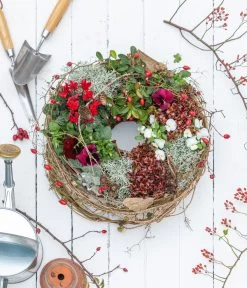 Rote Teppichbeere -Gardena Store 7192941 WE MO 001 RoteTeppichbeereGaultheria