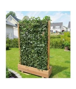 Hecke Am Laufenden Meter® 'Woerneri' - Efeu, Ca. 100 Cm 9 Hecke Am Laufenden Meter® 'Woerneri' - Efeu, Ca. 100 Cm -Gardena Store 7208309 BildM 004 HedereHelixWoerneriHeckeAmLaufendenMeterHelix
