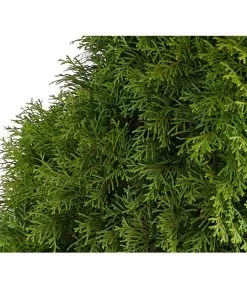 3 Meter Lebensbaum 'Smaragd', 6 X Ca. 150-175 Cm -Gardena Store 7513534 WE DE 001 ThujaLebensbaumOccidentalisSmaragd20LDehnerExpressHerzig 1