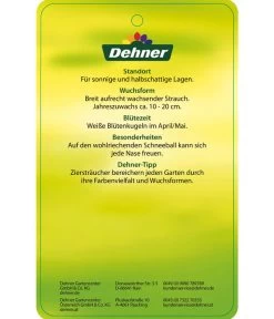 Großblumiger Duft-Schneeball 9 Großblumiger Duft-Schneeball -Gardena Store 7533623 Duftschneeball Etikett 02