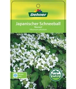 Japanischer Etagen-Schneeball 'Mariesii' -Gardena Store 7537194 JapanischerSchneeballMariesii Etikett 1