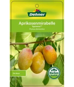 Dehner Aprikosenmirabelle 'Aprimira' -Gardena Store 7600851 AprikosenmirabelleAprimira Etikett 1