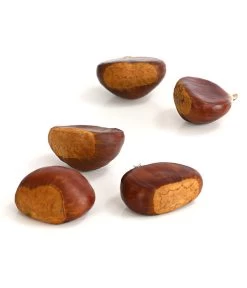 Esskastanie 'Bouche De Betizac' -Gardena Store 7621998 WE DE 003 EsskastanieMaroneCastaneaSativaDehnerExpressHerzig