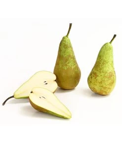 Herbstbirne 'Conference' -Gardena Store 7625908 WE DE 006 BirneConferenceDehnerExpressHerzig