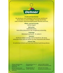 Aprikose 'Compacta' -Gardena Store 7626021 AprikoseCompacta Etikett 2