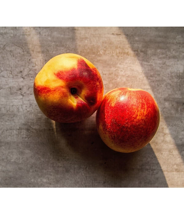 Nektarine, Verschiedene Sorten 1 Nektarine, Verschiedene Sorten