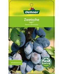 Zwetschge 'Jojo' -Gardena Store 7692635 ZwetscheJojo Etikett 1