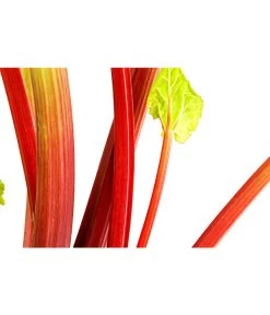 Dehner Gourmet Garten Himbeer-Rhabarber -Gardena Store 7736028 PR DE 002 RhabarberHimbeere2LiterDehnerExpressHerzig